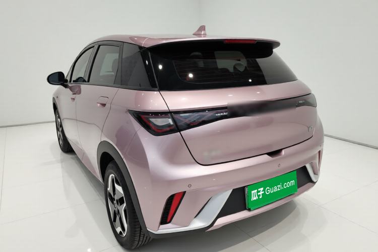 Used BYD Dolphin 2021 405 km Free Version Exterior 3