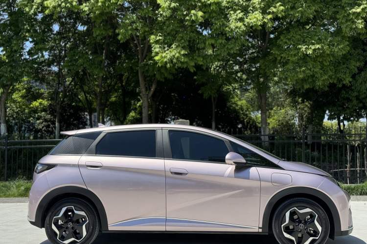 Used BYD Dolphin 2021 405 km Fashion Edition Exterior 3