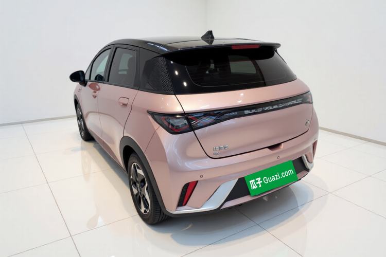 Used BYD Dolphin 2021 405 km Fashion Edition Exterior 3