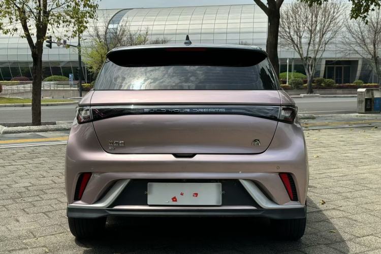 Used BYD Dolphin 2021 401km Knight Edition Exterior 4