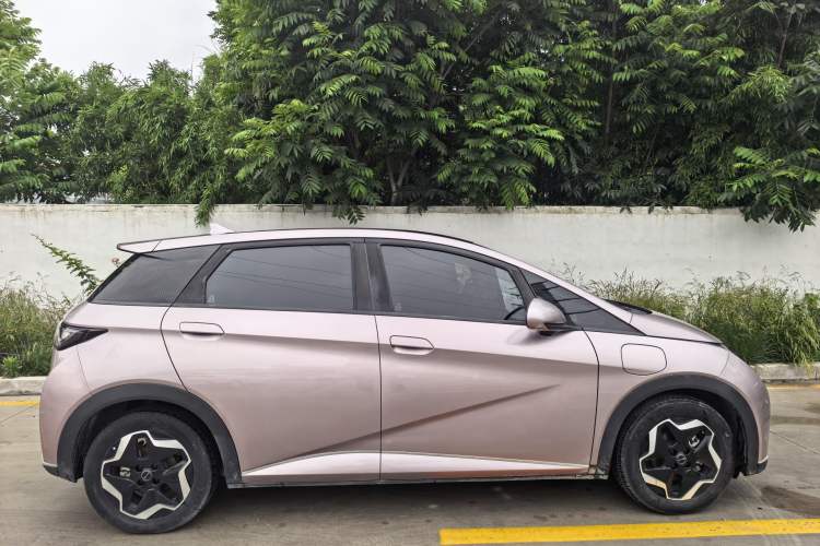 Used BYD Dolphin 2021 405 km Fashion Edition Exterior 4