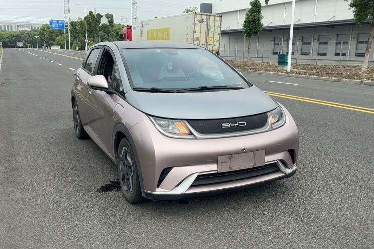 Used BYD Dolphin 2021 405 km Fashion Edition Exterior 4
