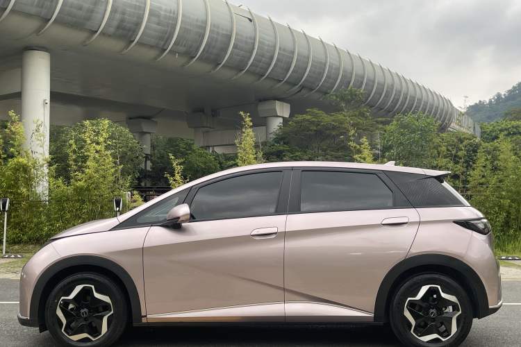 Used BYD Dolphin 2021 405 km Fashion Edition Exterior 4