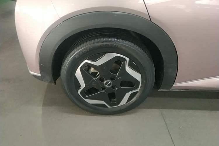 Used BYD Dolphin 2021 405 km Fashion Edition Exterior 5