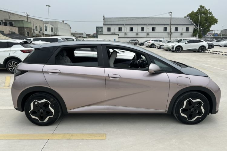 Used BYD Dolphin 2021 405 km Fashion Edition Exterior 5