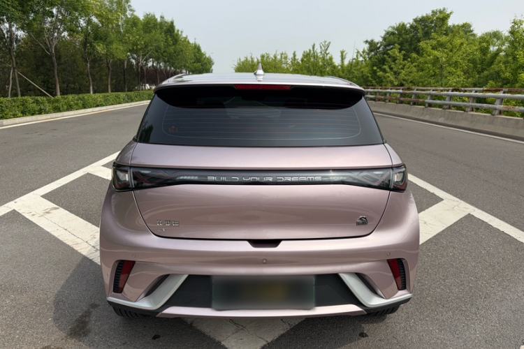Used BYD Dolphin 2021 405 km Fashion Edition Exterior 5