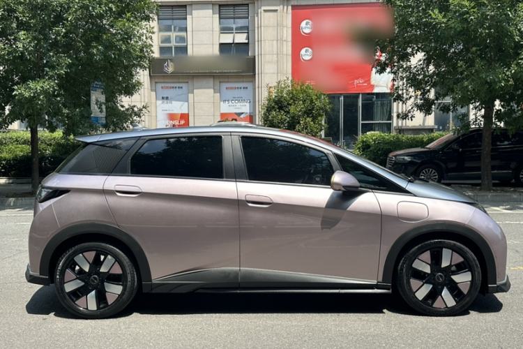 Used BYD Dolphin 2021 401km Knight Edition Exterior 5