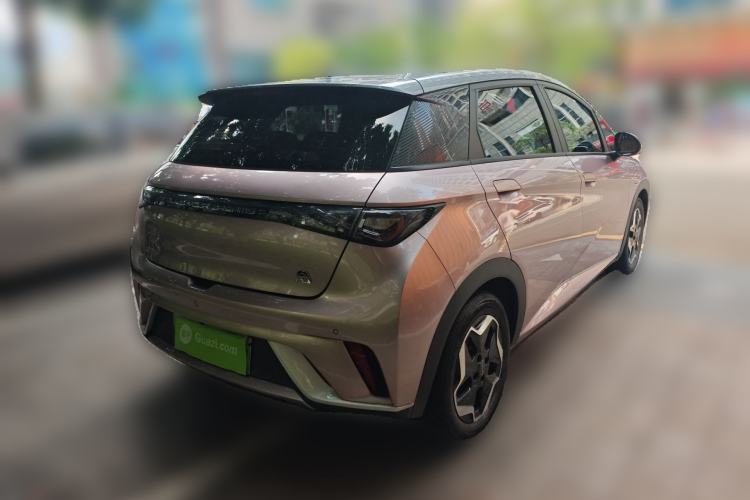 Used BYD Dolphin 2021 405 km Fashion Edition Exterior 5