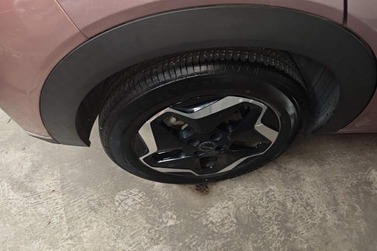 Used BYD Dolphin 2021 405 km Fashion Edition Exterior 5