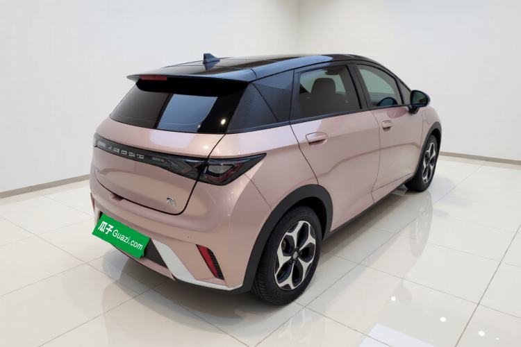 Used BYD Dolphin 2021 405 km Fashion Edition Exterior 5