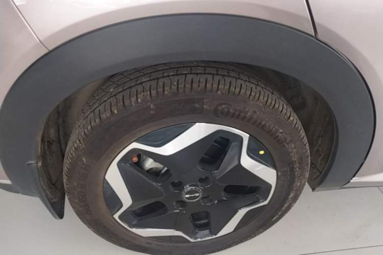 Used BYD Dolphin 2021 405 km Fashion Edition Exterior 5