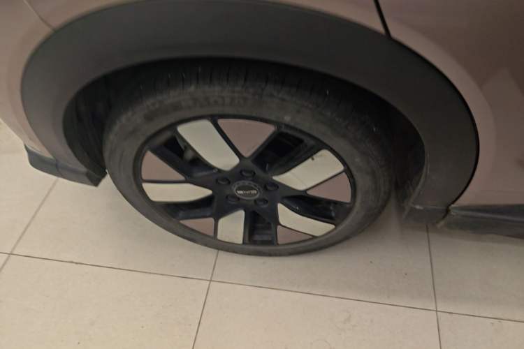 Used BYD Dolphin 2021 401km Knight Edition Exterior 5