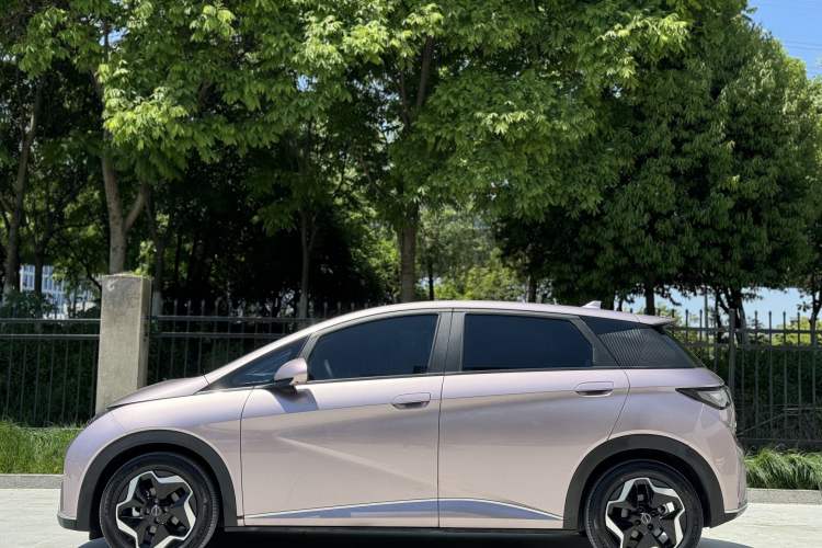 Used BYD Dolphin 2021 405 km Fashion Edition Exterior 6