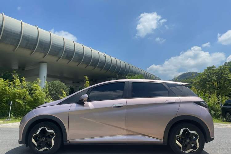 Used BYD Dolphin 2021 405 km Fashion Edition Exterior 6