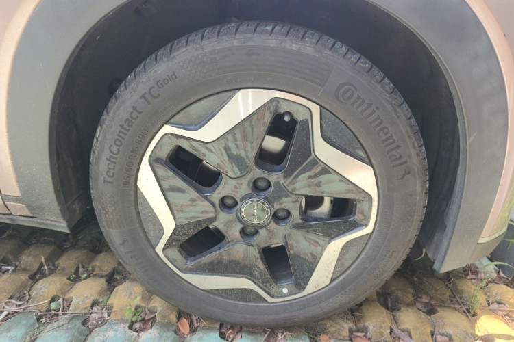 Used BYD Dolphin 2021 405 km Fashion Edition Exterior 7