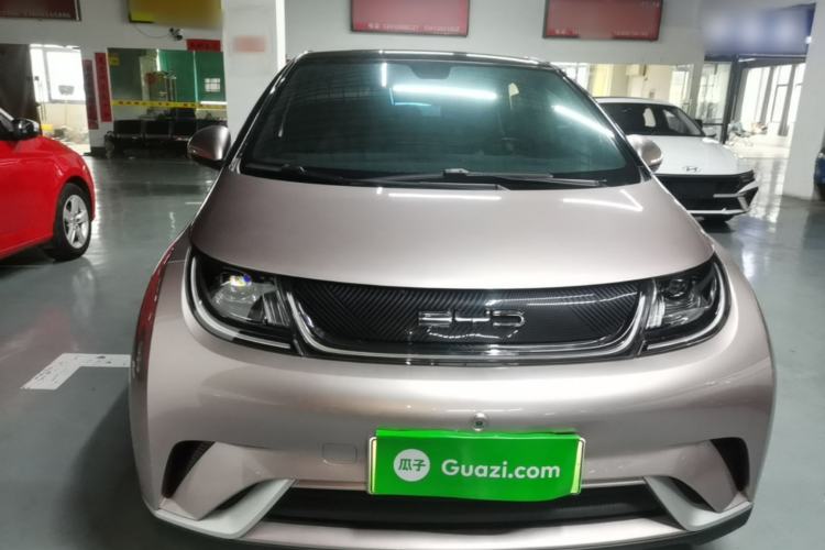 Used BYD Dolphin 2021 405 km Fashion Edition Front