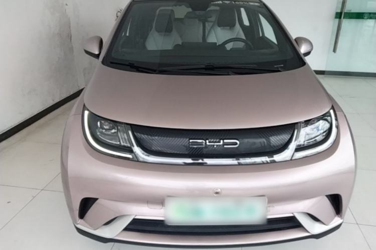Used BYD Dolphin 2021 405 km Fashion Edition Front