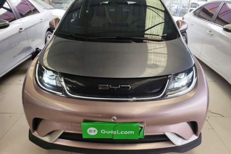 Used BYD Dolphin 2021 401km Knight Edition Front