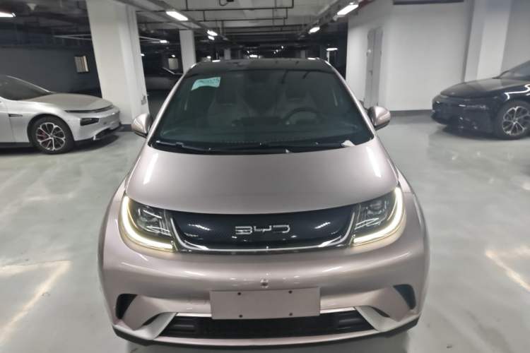Used BYD Dolphin 2021 405 km Fashion Edition Front