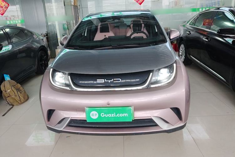 Used BYD Dolphin 2021 405 km Fashion Edition Front