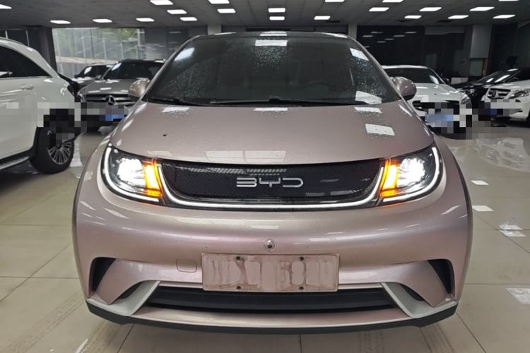 Used BYD Dolphin 2021 405 km Fashion Edition Front