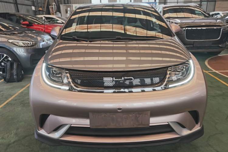 Used BYD Dolphin 2021 401km Knight Edition Front