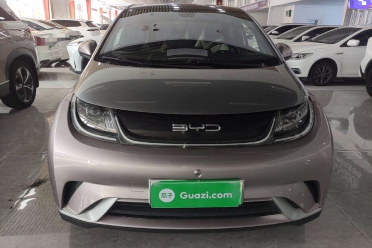 Used BYD Dolphin 2021 405 km Fashion Edition Front