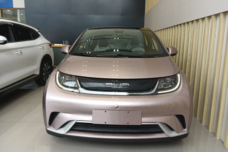 Used BYD Dolphin 2021 405 km Fashion Edition Front