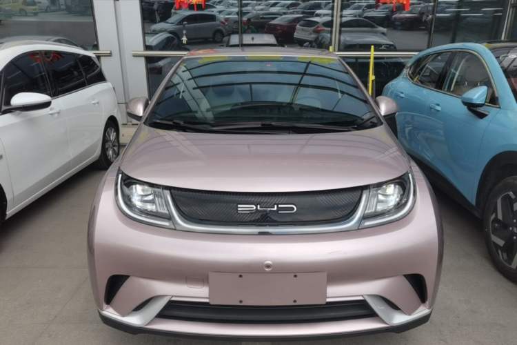 Used BYD Dolphin 2021 405 km Free Version Front