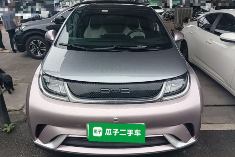 Used BYD Dolphin 2021 405 km Fashion Edition Front