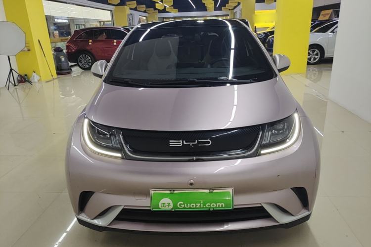 Used BYD Dolphin 2021 405 km Fashion Edition Front