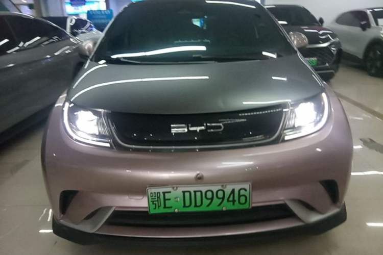 Used BYD Dolphin 2021 401km Knight Edition Front
