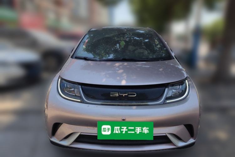 Used BYD Dolphin 2021 405 km Fashion Edition Front