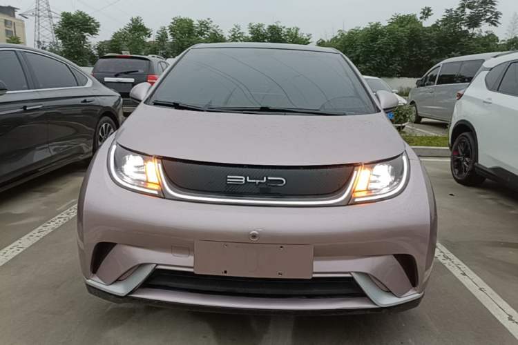 Used BYD Dolphin 2021 405 km Fashion Edition Front