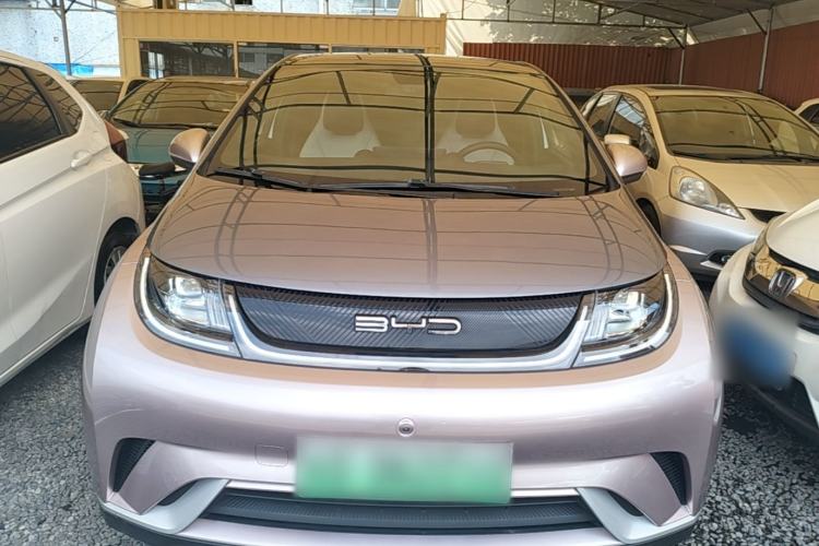 Used BYD Dolphin 2021 405 km Fashion Edition Front