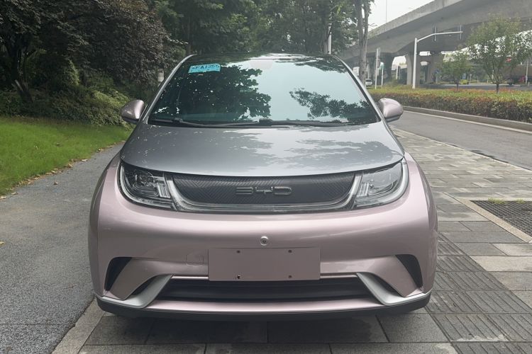 Used BYD Dolphin 2021 405 km Fashion Edition Front