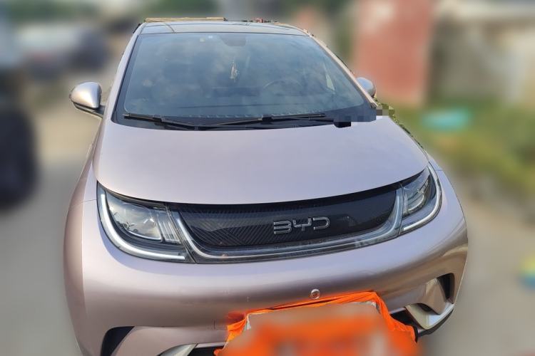 Used BYD Dolphin 2021 405 km Fashion Edition Front