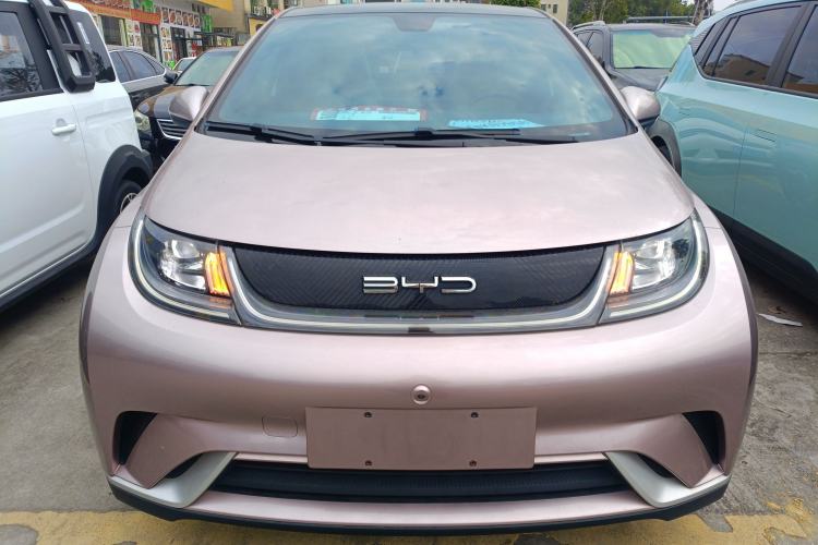 Used BYD Dolphin 2021 405 km Fashion Edition Front