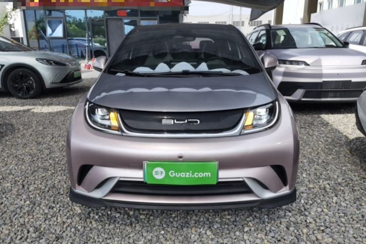 Used BYD Dolphin 2021 401km Knight Edition Front