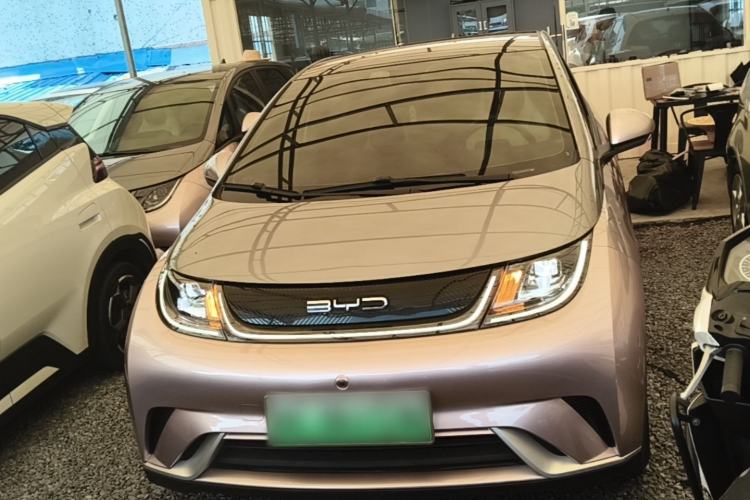 Used BYD Dolphin 2021 405 km Fashion Edition Front