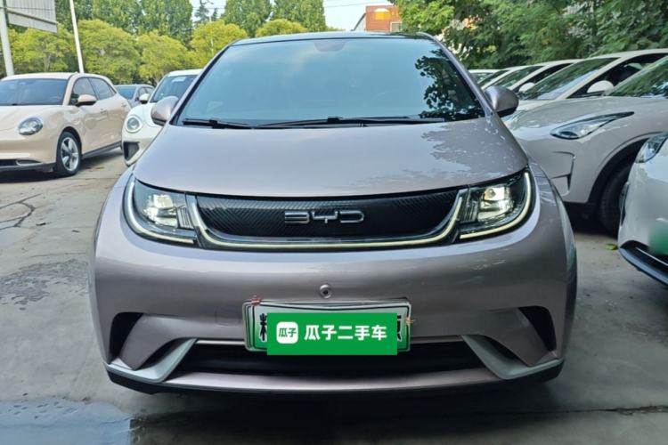 Used BYD Dolphin 2021 405 km Fashion Edition Front