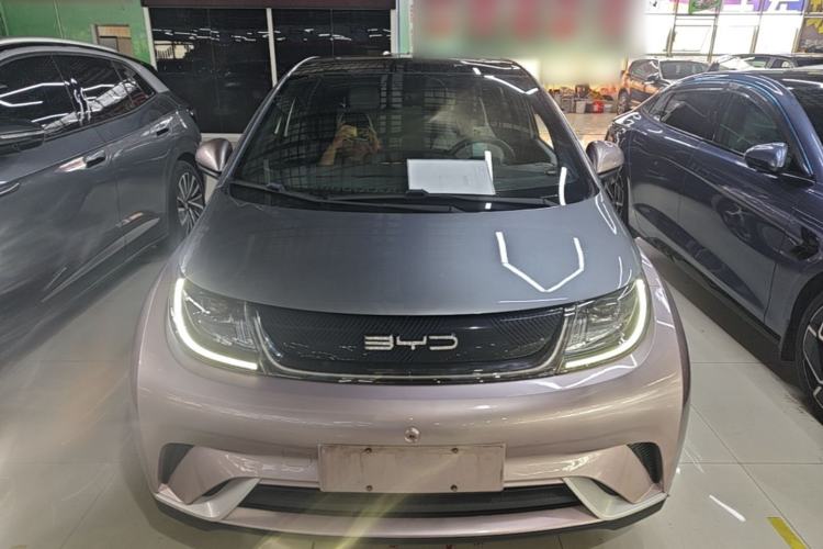 Used BYD Dolphin 2021 405 km Fashion Edition Front