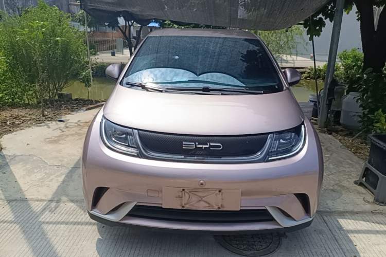 Used BYD Dolphin 2021 405 km Free Version Front