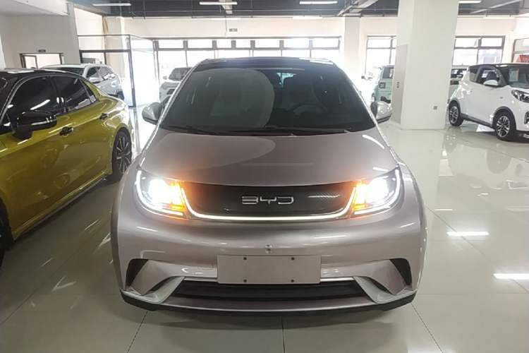 Used BYD Dolphin 2021 405 km Fashion Edition Front