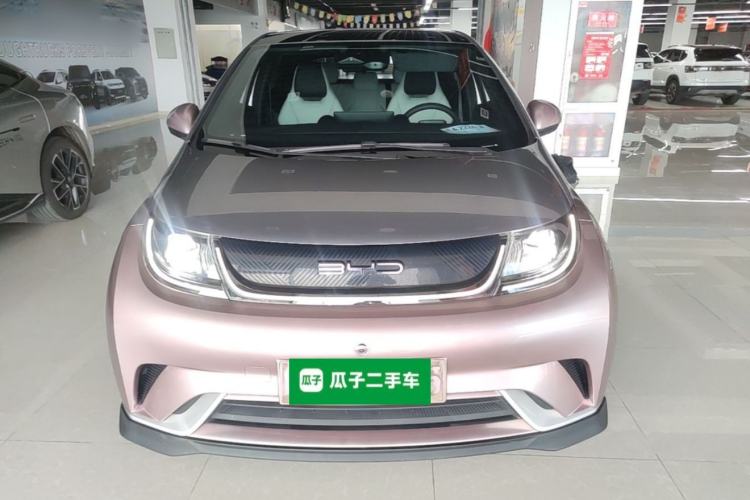 Used BYD Dolphin 2021 401km Knight Edition Front