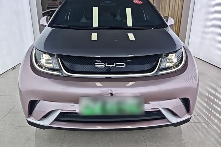 Used BYD Dolphin 2021 405 km Fashion Edition Front