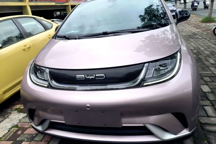 Used BYD Dolphin 2021 405 km Fashion Edition Front