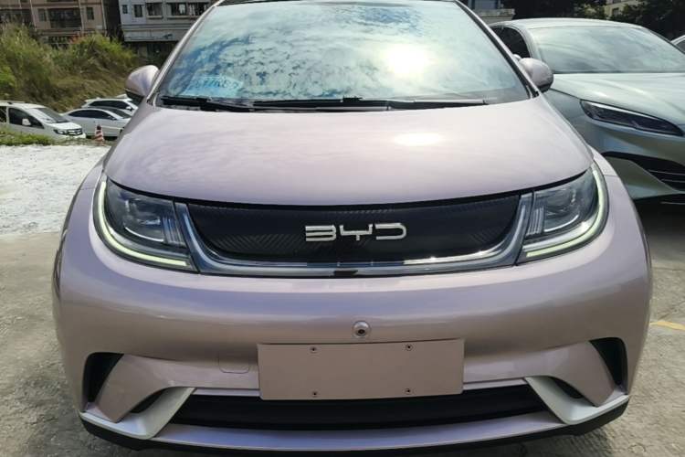 Used BYD Dolphin 2021 405 km Fashion Edition Front