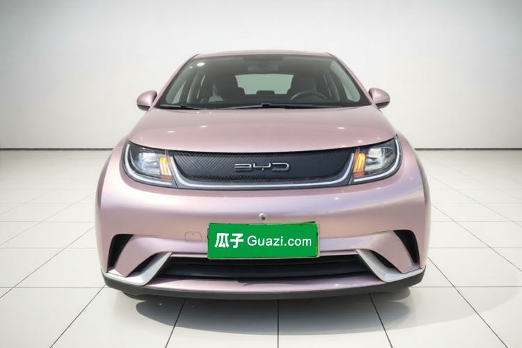 Used BYD Dolphin 2021 405 km Fashion Edition Front