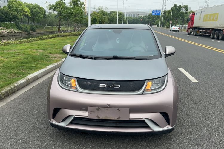 Used BYD Dolphin 2021 405 km Fashion Edition Front